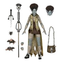 NECA - TMNT / Turtles - April ONeil as Frankensteins...