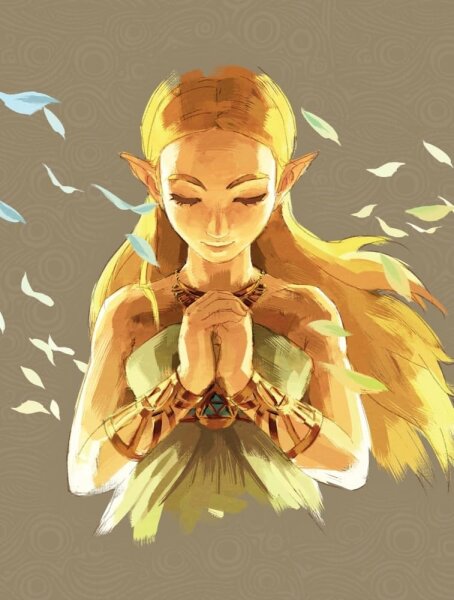 Legend of Zelda: Breath of the Wild - Das offizielle Buch - Erweiterte Edition  - neu / sealed