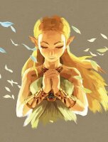 Legend of Zelda: Breath of the Wild - Das offizielle Buch...