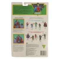 Skeletor Misscard  / Factory Error RARE - MOC - MotU / He-Man New Adventures