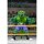 Leatherhead Wrestling Stump (Archie Comics) - TMNT / Ninja Turtles - NECA - MISB