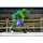 Leatherhead Wrestling Stump (Archie Comics) - TMNT / Ninja Turtles - NECA - MISB