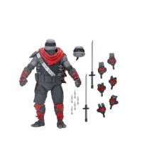 Leonardo Nightwatcher (The Last Ronin)  - TMNT / Ninja Turtles - NECA - MISB