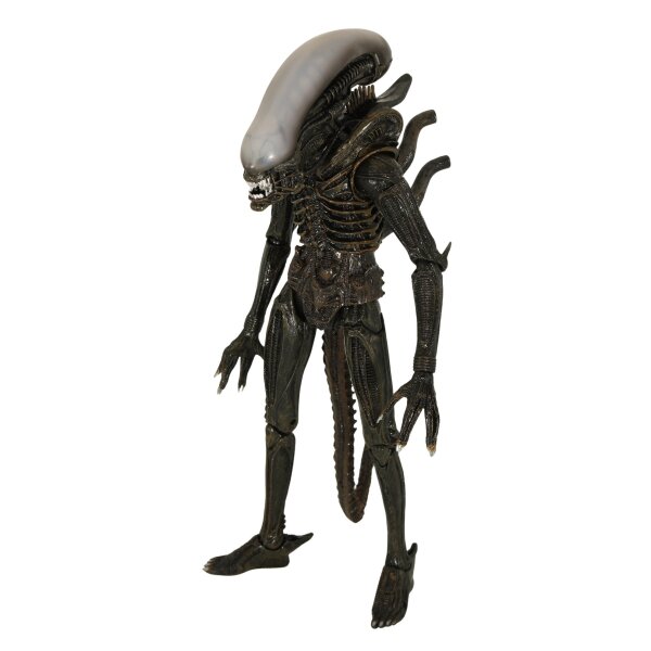 Big Chap / Xenomorph (2013) - Alien 35th Anniversary / NECA - lose / komplett