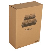 Teela Club Grayskull - MotU Classics Masters of the Universe - MISB