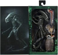 Big Chap / Xenomorph 1979 - Alien 40th Anniversary / NECA - MISB