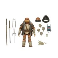 Moja (Re-Evolution) (The Last Ronin)  - TMNT / Ninja...