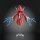 Orko (200X) Cartoon Collection - MotU Origins / Masters of the Universe - MOC
