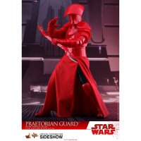 Praetorian Guard with Double Blade MMS454 - 1/6 - Hot...