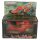Attack Trak Flip Track - MOTU / Masters of the Universe Vintage - MISB + Case