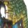 Fighting Foe Men - Motu Classics / Masters of the Universe - MISB