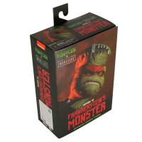 NECA - TMNT / Turtles - Raphael as Frankensteins Monster...